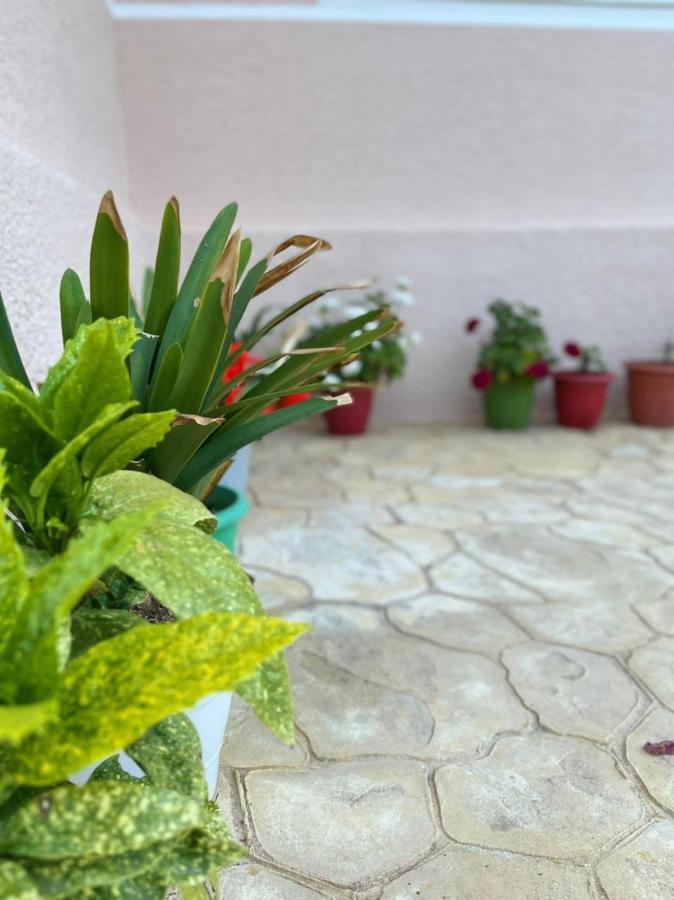 Vila Noga Borsh Exterior foto